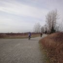 Let's go biking/Boundary Bay Dyke Trail /1월23일(수) 이미지