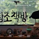 탐조책방 이미지