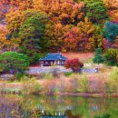 드라마에 등장한 명소, 너무 아름다워 자연유산으로 지정됐다 이미지