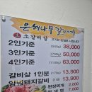 은행나무 갈매기 이미지