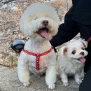 장군행정사사무소 이미지