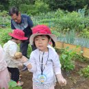 맑은샘농장 이미지