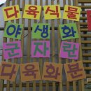 도한정원 시실리 이미지