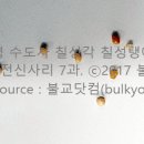 의령 수도사 칠성탱 네이버블로그