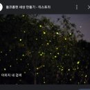 두손모아 반딧불이 이미지