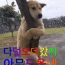 건강한 잔소리