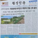 전천 하천변 1 이미지