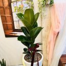 신월동198 이미지