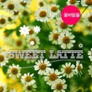 비바라떼 이미지