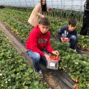 새날농장 이미지