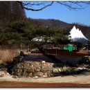 그린캠프유스호스텔