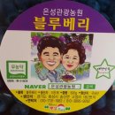 송산포도로 이미지