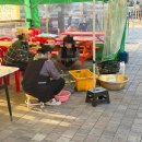 죽변맛집 | 울진 현지인 맛집 죽변 안동생선구이 모듬생선구이 후기
