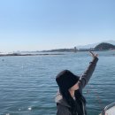 [속초/고성 여행] 청해호 배낚시 / 가자미 낚시 / 속초 낚시 꿀잼 ~!