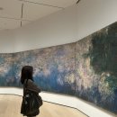 제시 뉴욕 | 뉴욕 MoMA 입장권 후기｜사람 많은 시간대 솔직 리뷰