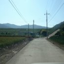 유천1제 이미지