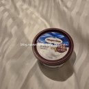 노평 농장 | [삿포로] ❄️삿포로에서 여우 만난 날🍀🦊