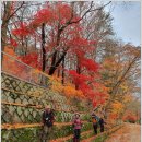 신검사