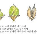 중앙악기 이미지