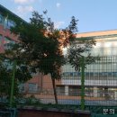 부흥초등학교 옆 이미지