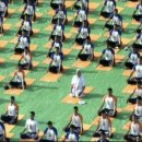 모디 (modi) 이미지