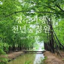 도리정원 이미지