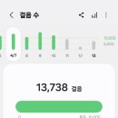 9988TECH | 걷기만 해도 포인트가 쌓이는-손목닥터 9988⌚️(서울 시민 건강관리 앱) 사용후기