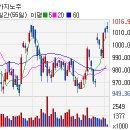 (주)마제스타 마제스타카지노 이미지