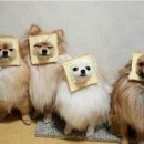 쥔장