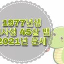 2021년 정사생 45살 운세. 1977년생 (부산점집)