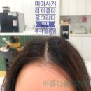 아름다움;그리다 네이버블로그