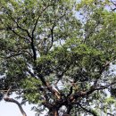 당리동-20 이미지