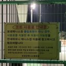 보성테니스장 이미지