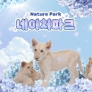 큰나무집 네이버블로그