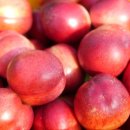 신비 스토어 몰 이미지