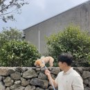 목화상회