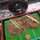 미스터길스시 이미지