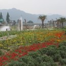 탐진강 꽃길 걷기 및 목공체험 행사 개최 (17일 오전 9시- 오후 5시까지 ) 이미지