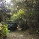 하모해수욕장 | [제주도]올레길10코스::하모해수욕장~송악산