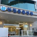 엔젤동물병원 | 천안 쌍용동 엔젤동물병원 강아지 스케일링 발치 솔직후기