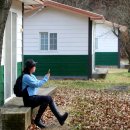 나무와중학교 이미지