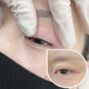 강동틴트