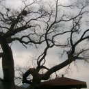 구기마을회관 이미지