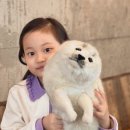 로아맘마 | 육아맘들이 인정한 리얼 동물인형! 한사토이 협찬 후기 모음