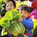 무석 농장 이미지