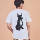 4437 이미지