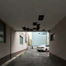 울산 동구 몸보신 청송달기약수삼계탕 닭백숙 후기