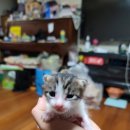 묘연공방 이미지