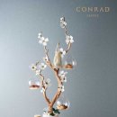 애프터눈 이미지