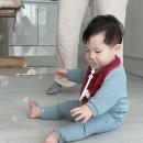 13개월 수동이의 하루들 (롤리폴리 도토리묵, 가루비 사야엔도 노프라이, 아기여권사진, 트니트니, 미니...